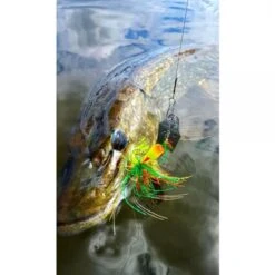 Spro IRIS Thrillseeker Firetiger 14gr – #4/0 5 Spro IRIS Thrillseeker Firetiger 14gr – #4/0 -Kwaliteitswinkel Voor Visuitrusting 1387749Spro Iris Thrillseeker 10cm 14gr 3 1 1