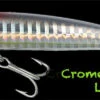 Grauvell JINZA SENSEI F Crome Red Head 12 Cm