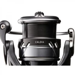 Daiwa Caldia LT 2500D-XH -Kwaliteitswinkel Voor Visuitrusting products daiwa caldia lt 3 1 1