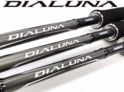 Shimano Dialuna S96M (2,90 M) (8-45gr) -Kwaliteitswinkel Voor Visuitrusting products dialuna 2