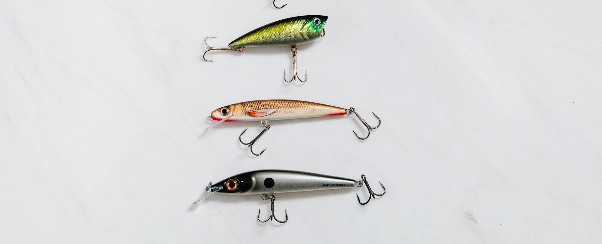 Kwaliteitswinkel Voor Visuitrusting -Kwaliteitswinkel Voor Visuitrusting pexels karolina grabowska 6478099